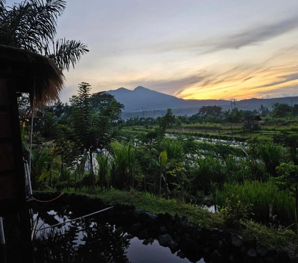 Cabe Bali Hotel Jasri Buitenkant foto